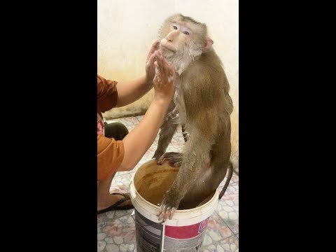 Jason Relaxed Apply Soap Cleaning Mustache Take Bath Properly