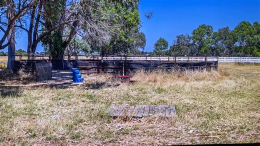 9K views · 15 reactions |  Your Bullsbrook escape awaits at 1201 Railway Parade! 62 acres of rural freedom with a spacious family home, water supply, beautiful views and endless potential. The lifestyle you’ve been chasing is right here.  Contact me for more details or to arrange a viewing. | Clint Tomasovich- Elders WA - Elders WA Rural & Metro | Facebook