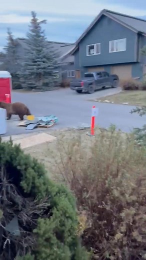 212K views · 1.1K reactions | My son had an unexpected passenger in his car this morning. Language warning, there are a few curse words | Terry Anderson | Facebook