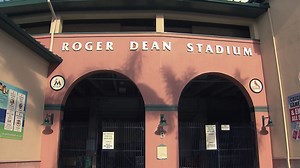 Cardinals 2020 Spring Training