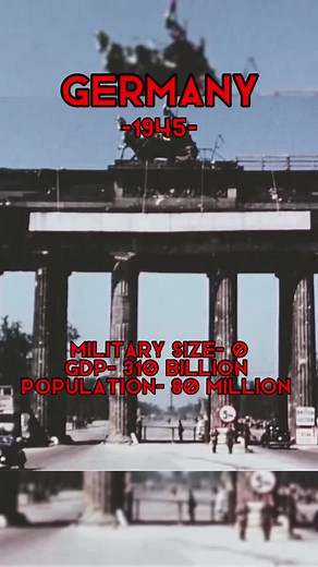 Handy Dandy History Book on TikTok