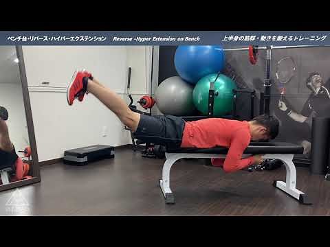 ベンチ台・リバース・ハイパーエクステンション｜Reverse –Hyper Extension on Bench｜上半身・下半身の筋群を鍛えるトレーニング