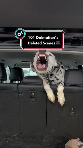 The unreleased script you’ve been waiting for 😂🎥🐾 #101dalmatians #satire #dogvlogs
