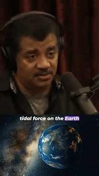 Neil deGrasse Tyson on Tidal Force between Moon and Earth #shorts #shortsfeed #astronomy #jre