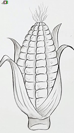 Corn drawing easy #drawing #drawingforkids | Drawing Book
