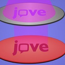 Video: Fabrication of BioMEM Microfluidic Devices by Soft Lithography