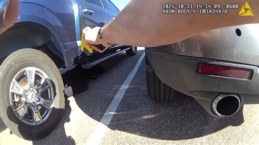 314K views · 4.3K reactions | Foot Pursuit and Arrest Parker...