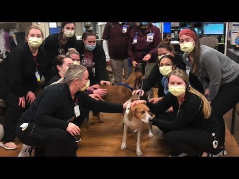 Supporting our UnityPoint Health - Cedar Rapids team members