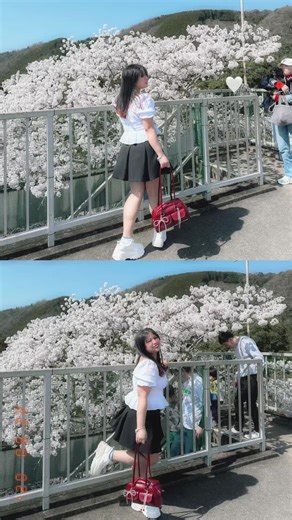 #CapCut #sakura #fyp #kenshuseijapan🇮🇩🇯🇵🎌