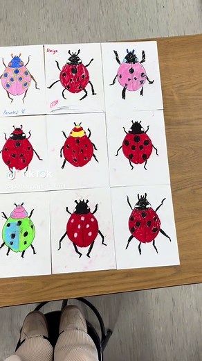 Aprendiendo simetría a través del arte con mariquitas