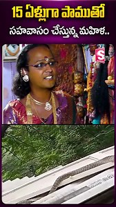 15 ఏళ్లుగా.. #sarojamma #temple #latestnewsupdates #god #living #news #pochamma #reels #reelsviral #sumantvplus | Sumantv Finance | Facebook