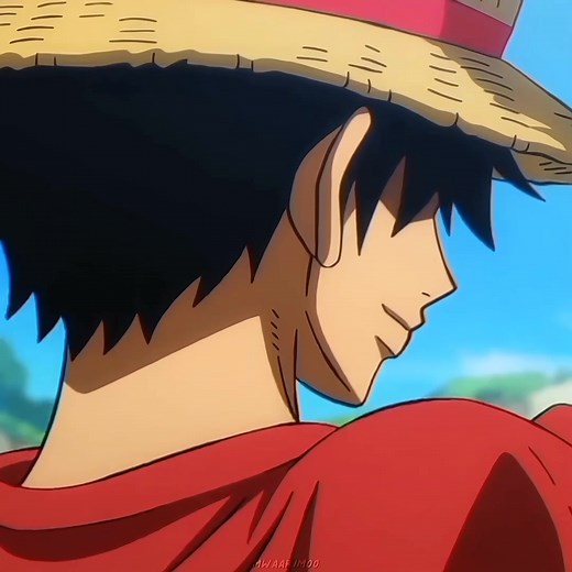 Memorable Farewell: Luffy and Momonosuke's Journey | One Piece