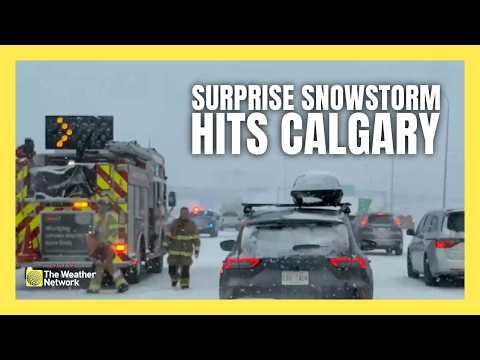 Surprise Snowstorm Buries Calgary, Causes Over 100 Crashes