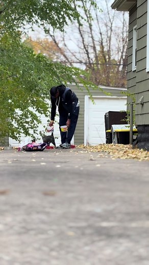 Understanding Feral Cats and Their Rescue Journey