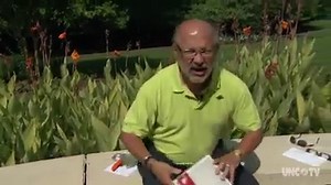 59K views · 462 reactions | Who's excited for the solar eclipse? Our science team shows you the safest way to watch from anywhere in North Carolina. We'll also be streaming the eclipse LIVE on August 21! Make sure to come to our page that day for coverage from Pisgah Astronomical Research Institute. | PBS North Carolina | Facebook