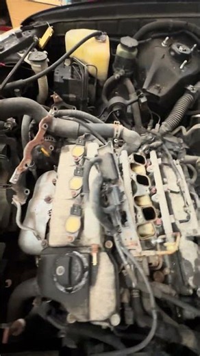 2004 Toyota Highlander valve cover gasket leak replacement and spark plug and coils