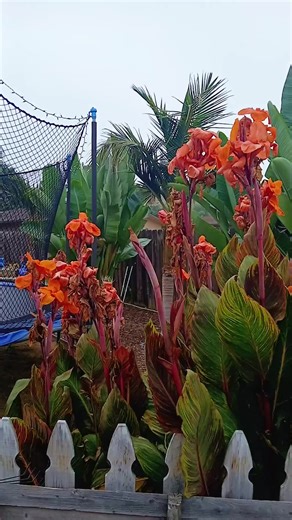 Reptilian Bride #whimsicalart | bride