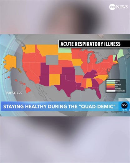 The flu, COVID, respiratory syncytial virus (RSV) and norovirus are making their rounds nationwide this winter, with many calling it a “quad-demic” of infectious diseases. More about each illness: https://abcnews.visitlink.me/YhGJk0 | ABC News