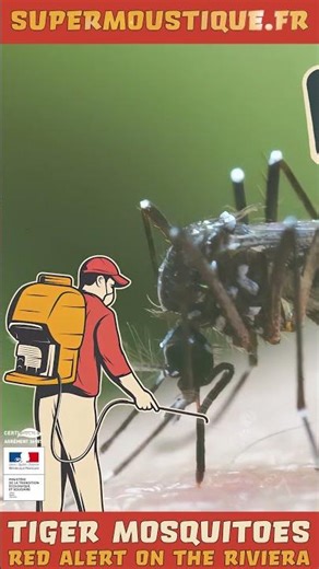 Effective mosquito control in Saint Jean Cap Ferrat