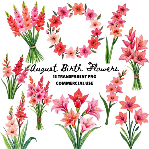 August Birth Flower PNG Bundle, Gladiolus Birth Flower Clipart, Birth Flower Print, Gladiolus Clipart, Birth Month Flower for August - Etsy