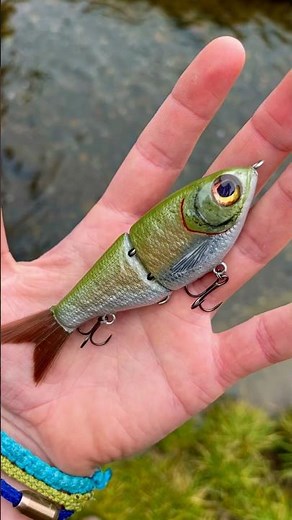 Airbrushing a Temu Glide Bait Blank | Budget Lure Turned Custom! #glidebait #lurebuilding #fishing