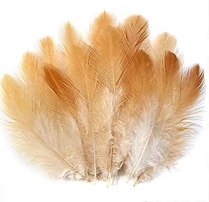 Soarer Natural Craft Feathers Bulk - 300pcs 3-5inch Natural Feathers for Dream Catcher Supplies, Home Party, Hats and Jewelry Accessories and DIY Crafts