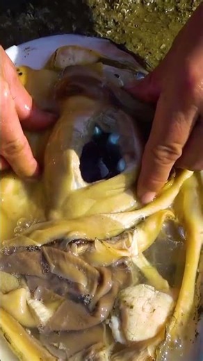 Have you ever seen such beautiful pearls?