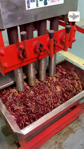 Inside Mulam Foods Factory | How We Make Premium Spices & Traditional Foods 🌿 | Factory Tour