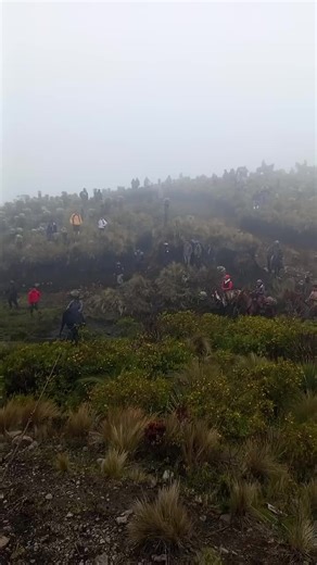 Videos de Wilson (@wilson63478) con “sonido original - James QVMP”