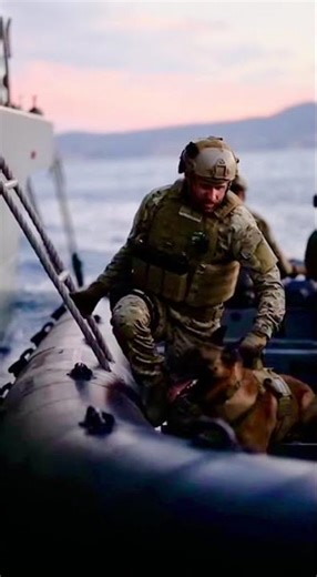 #puppy Royal German Shepherd Descends from Warship Into Lifeboat for Unique Mission