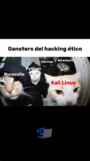 BlumeSec on Instagram: "El verdadero equipo de asalto del hacking ético 🐱💻 #BlumeSec #Ciberseguridad #HackingEtico #Hackers #Python #KaliLinux #BurpSuite #Wireshark #SQLmap #CyberHumor"