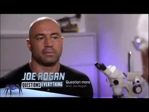 Dr. David Swenson Interview about the Sasquatch Genome Findings