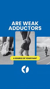 Are weak adductors the source of your pain? The adductor is a muscle...
