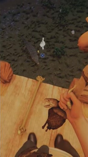 day two of exploding a crocodile in the forest