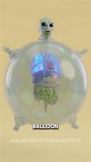 Do NOT Eat the Spiky Cucumber.🚫🥒