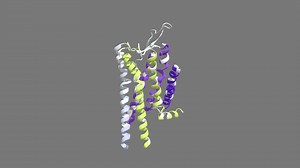 GPCR Protein- Basic Structure - 3D model by L4vy_s