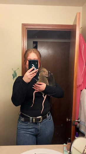 #big #chunky #fatrat #ratsoftiktok