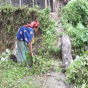 139K views · 2.7K reactions | Nomad lifestyle in traditional village lifestyle | Traditional Life TV | Facebook