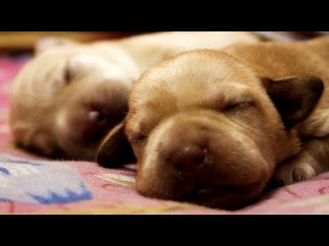 いつもの発作が起きました｜仮にAくんとしよう