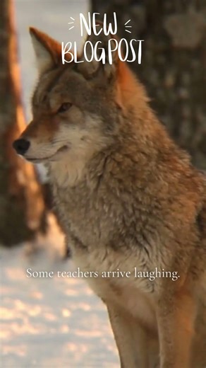 My first power animal was Coyote — the trickster.