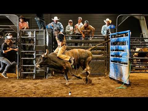 MASHER: Bowls and Bulls