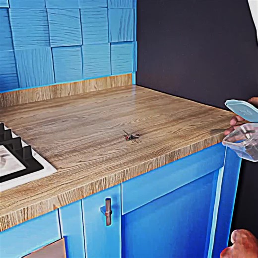 How To Create A Wasp Army 🤔. #zackdfilms #3danimation #fypシ゚viral #story #learnontiktok