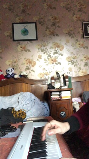 Rose #titanic #piano #cover