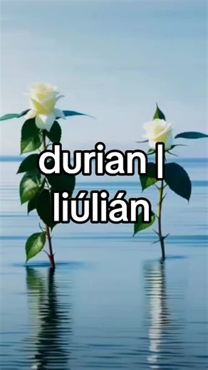 #EnglishVsChinese #ZhōngYīngwénDuìzhào #中英文对照