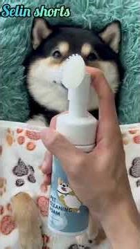 ASMR | Manyu Care SPA - Let's Relax Together