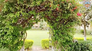 Virtual Tour of UET Peshawar Main Campus | University of Engineering and Technology, Peshawar