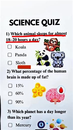 Science Quiz ☄️ #Quiz #DailyQuiz #QuizTime #BrainChallenge #GeneralKnowledge #QuizOfTheDay #TriviaTime #MindTest #ThinkFast #GuessTheAnswer #TestYourBrain #QuickQuiz #FunQuiz #IQChallenge #SmartQuiz #LearnWithFun #ChallengeYourMind #QuizChallenge #ReelsQuiz #ViralReels #ViralVideo #TrendingNow #ExplorePage #ForYou #FYP #MustWatch #EntertainmentReels #ReelFun #QuestionOfTheDay #KnowledgeIsPower | Global Quiz