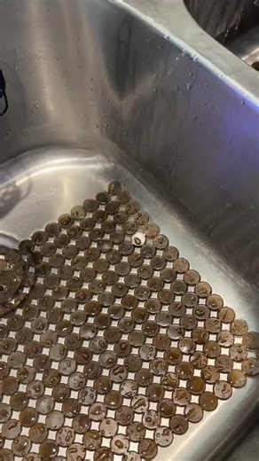 Smart Home Junction on Instagram: "The Secret Trick to Buying “Almost New” Items on Amazon Warehouse for Cheap Amazon Warehouse offers returned, open-box, or lightly used items that are still in excellent condition but discounted up to 20–60%. You’ll see conditions like Used – Like New, Very Good, or Good. The best strategy is to choose Like New or Very Good, because most items have only damaged packaging or minor missing pieces that don’t affect performance. Many Warehouse products also come wi