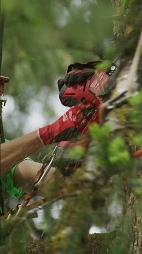 M18 FUEL™ HATCHET™ 8" Pruning Saw