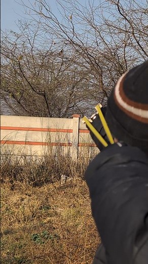 Sharp Focus Shot | Bird Hunting with Slingshot